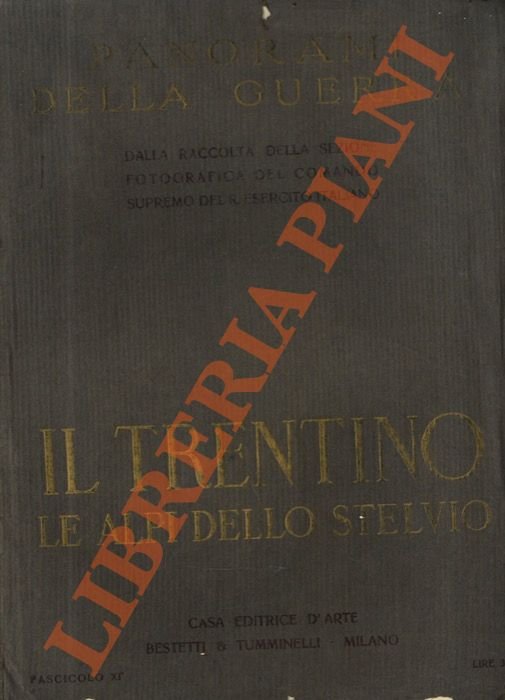 Il Trentino. Le Alpi dello Stelvio. Panorami della guerra.