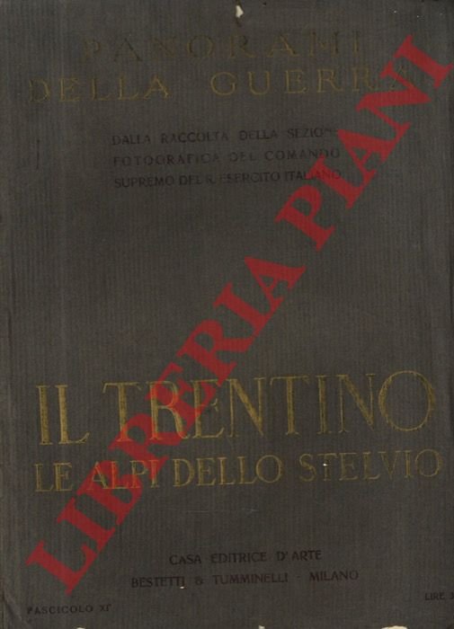 Il Trentino. Le Alpi dello Stelvio. Panorami della guerra.