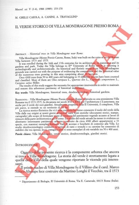 Il verde storico di Villa Mondragone presso Roma.