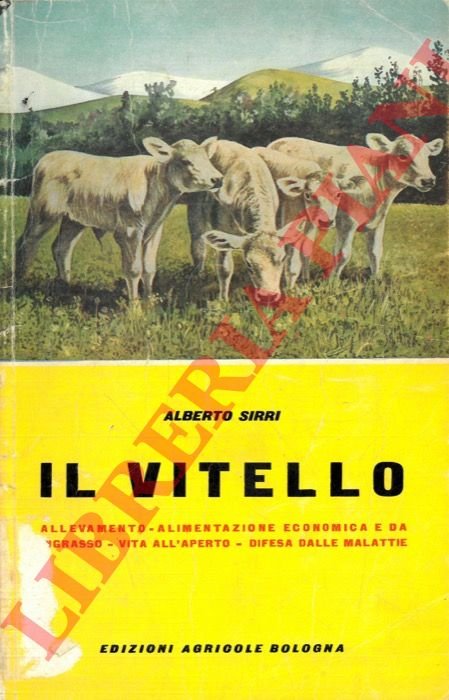Il vitello.