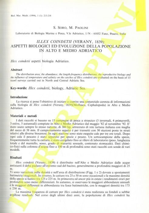 Illex coindetii (Verany, 1839): aspetti biologici ed evoluzione della popolazione …