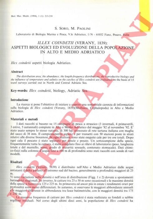 Illex coindetii (Verany, 1839): aspetti biologici ed evoluzione della popolazione …