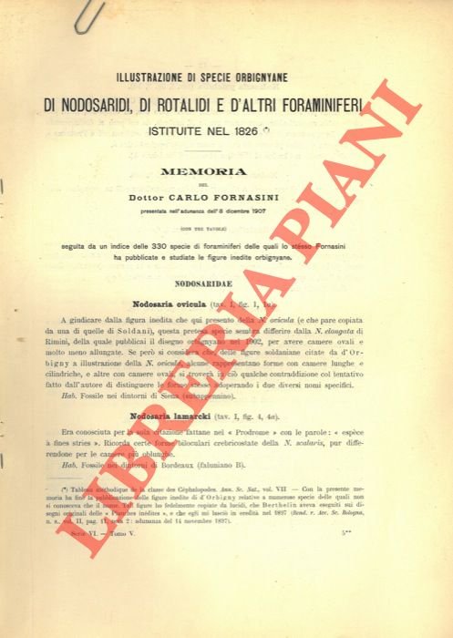 Illustrazione di specie orbignyane di Nodosaridi, di Rotalidi e d'altri …
