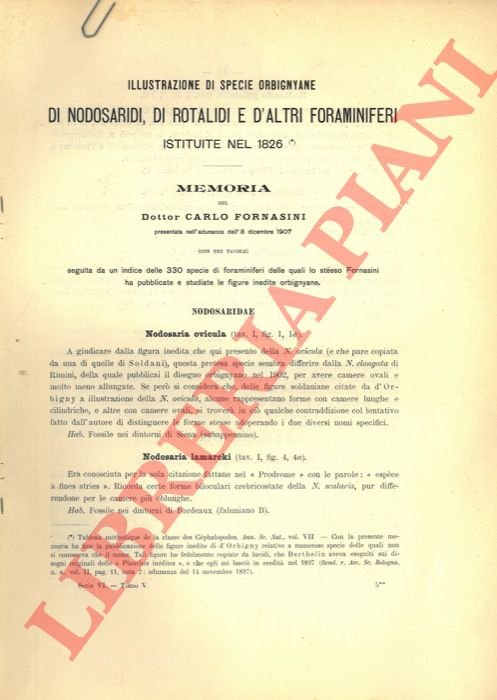 Illustrazione di specie orbignyane di Nodosaridi, di Rotalidi e d'altri …