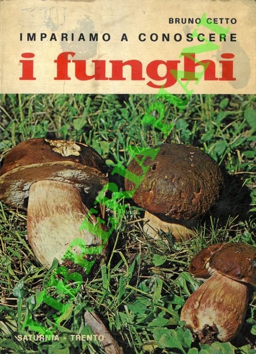 Impariamo a conoscere i funghi.