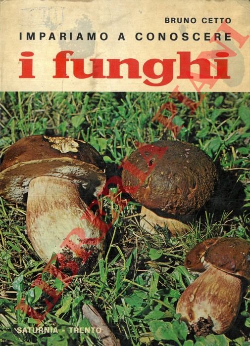 Impariamo a conoscere i funghi.