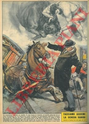 Imperia: novantenne abbatte un cavallo sferrandogli un pugno in testa.