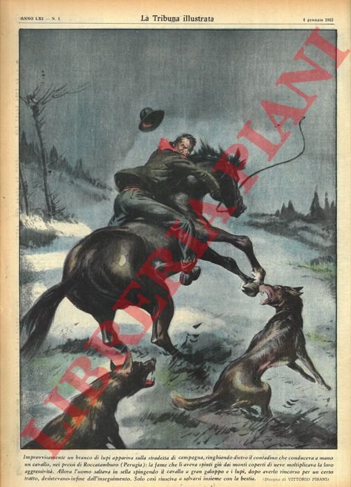 Improvvisamente un branco di lupi appariva sulla stradetta di campagna, … | Immagine Gallery 3