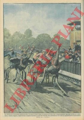 In California è diventato popolarissimo un nuovo sport : attaccati …