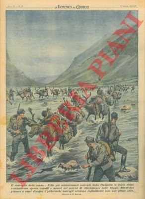 In Finlandia le docili renne sostituiscono spesso i cavalli e …