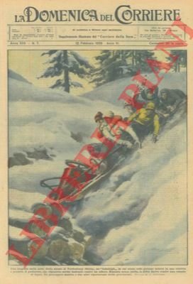 In Stiria, un "bobsleigh" urta in una cunetta perdendo il …