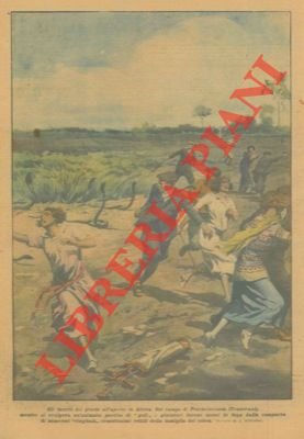 In Sud Africa giocatori messi in fuga, durante una partita …