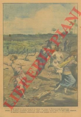 In Sud Africa giocatori messi in fuga, durante una partita …