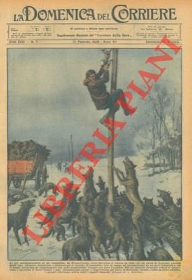 In Transilvania branco di lupi uccide un cavallo che trainava …