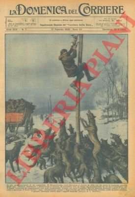 In Transilvania branco di lupi uccide un cavallo che trainava …