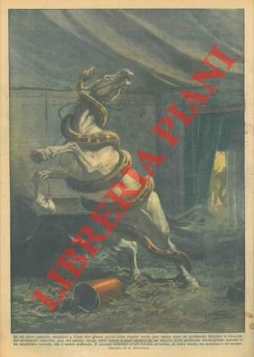 In un circo equestre due grossi pitoni sono fuggiti dalla …