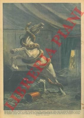 In un circo equestre due grossi pitoni sono fuggiti dalla …