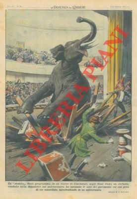 In un teatro di Cincinnati un elefante condotto dalla domatrice …
