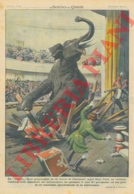 In un teatro di Cincinnati un elefante condotto dalla domatrice …