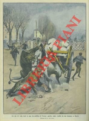 In una via di Torino un pacifico mulo viene assalito …