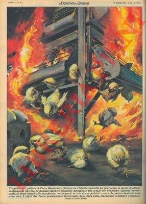 Incendio scoppiato nei locali del Consorzio agrario provinciale di Cairo …