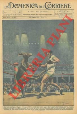 Incontro di boxe tra un canguro ed un pugile professionista.