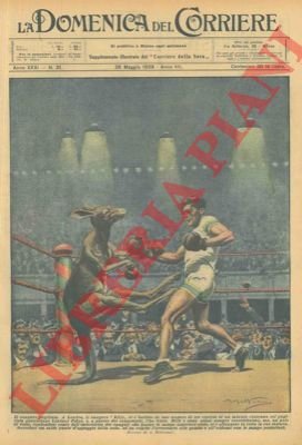 Incontro di boxe tra un canguro ed un pugile professionista.