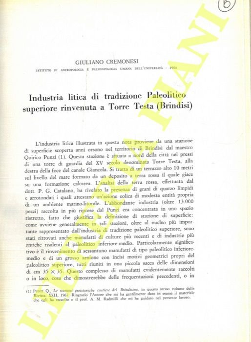 Industria litica di tradizione Paleolitico superiore rinvenuta a Torre Testa …