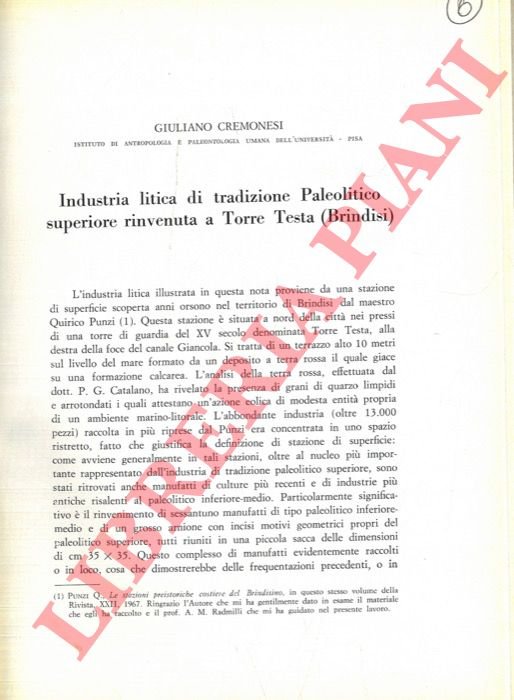 Industria litica di tradizione Paleolitico superiore rinvenuta a Torre Testa …