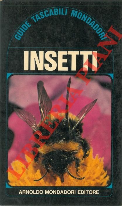 Insetti.