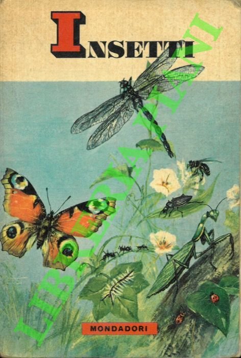 Insetti.