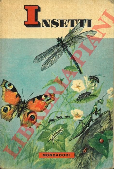 Insetti.