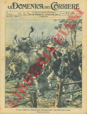 Invasione delle terre presso Roma: buoi spinti verso la truppa.