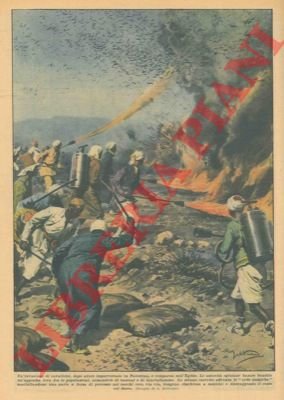 Invasione di cavallette in Egitto.