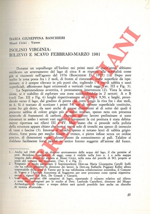 Isolino Virginia: rilievo e scavo febbraio-marzo 1981.