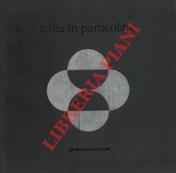 Italia in particolare. Roma Venezia Firenze Napoli Milano Palermo Torino …