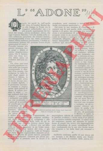 L'"Adone". (Cavalier Marino) | Immagine Gallery 3