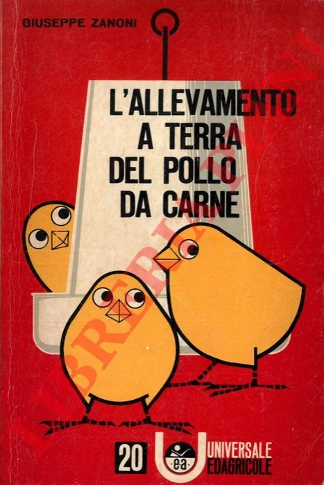 L'allevamento a terra del pollo da carne.