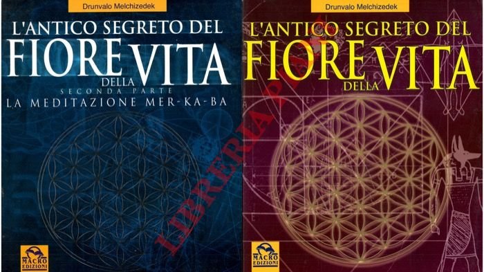 L'antico segreto del fiore della vita.