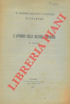 L'avvenire delle colture cotoniere in Sicilia.
