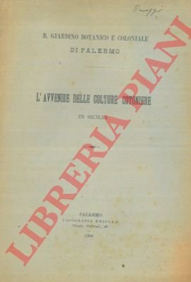 L'avvenire delle colture cotoniere in Sicilia.