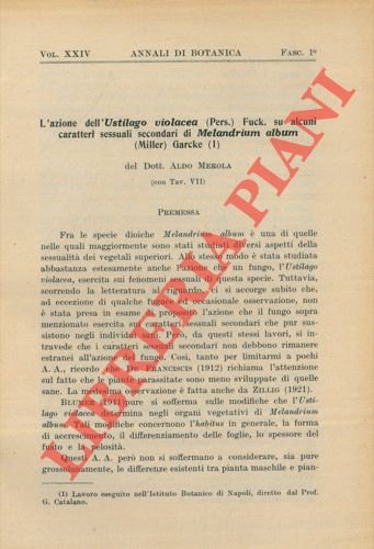 L'azione dell'Ustilago violacea (Pers.) Fuck. su alcuni caratteri sessuali secondari …