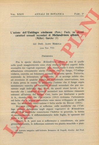 L'azione dell'Ustilago violacea (Pers.) Fuck. su alcuni caratteri sessuali secondari …