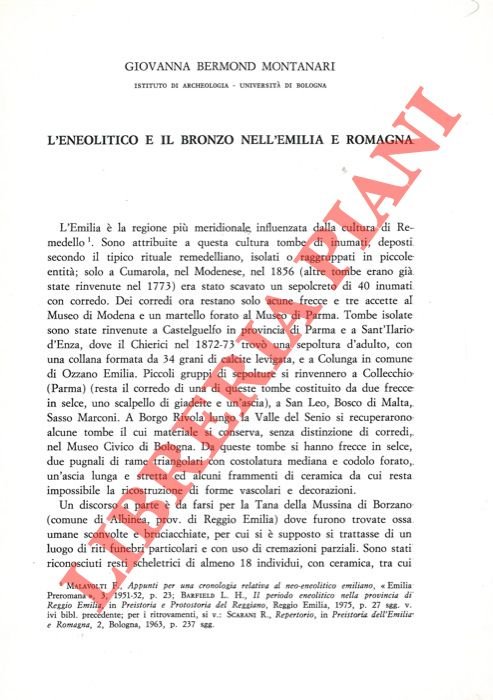 L'Eneolitico e il Bronzo nell'Emilia e Romagna.