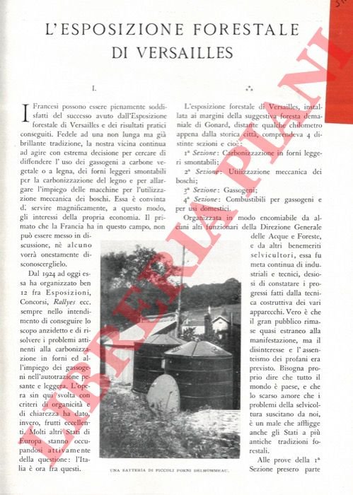 L'Esposizione forestale di Versailles. I. II. | Immagine Gallery 3
