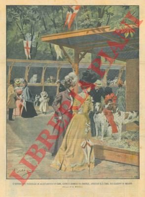 L'Esposizione Nazionale degli animali da allevamento: cani, gatti, ecc. nei …