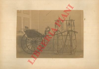 L'Esposizione triennale di Belle Arti ed Industrie nella provincia di …