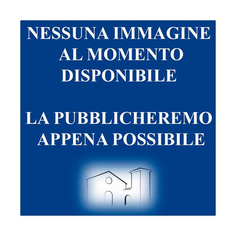 L'innondazione a Pisa.