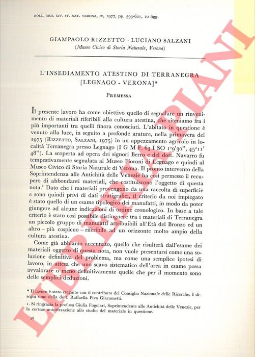 L'insediamento atestino di Terranegra (Legnago - Verona) .