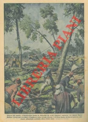 L'insurrezione araba in Palestina ha avuto singolari esplosioni. Nel famoso …